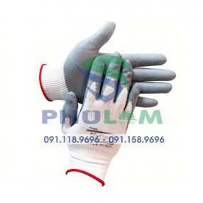 gang- tay-ansell- chong- cat